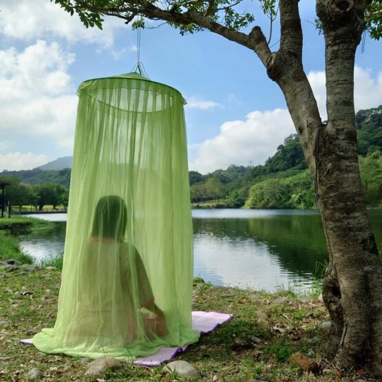 Meditation Essentials